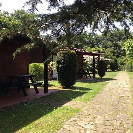 Camping Ecologic Lava Santa Pau Dış mekan fotoğraf